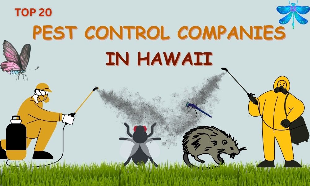 pest control Hawaii