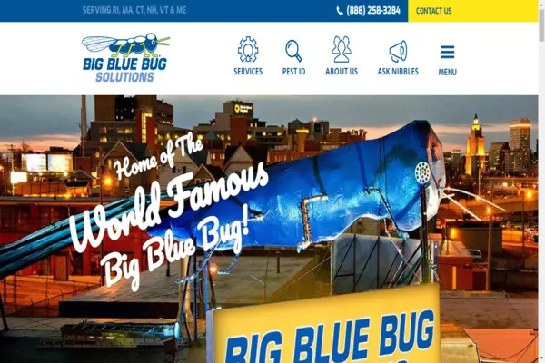  Big Blue Bug Solutions