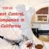 Pest Control California