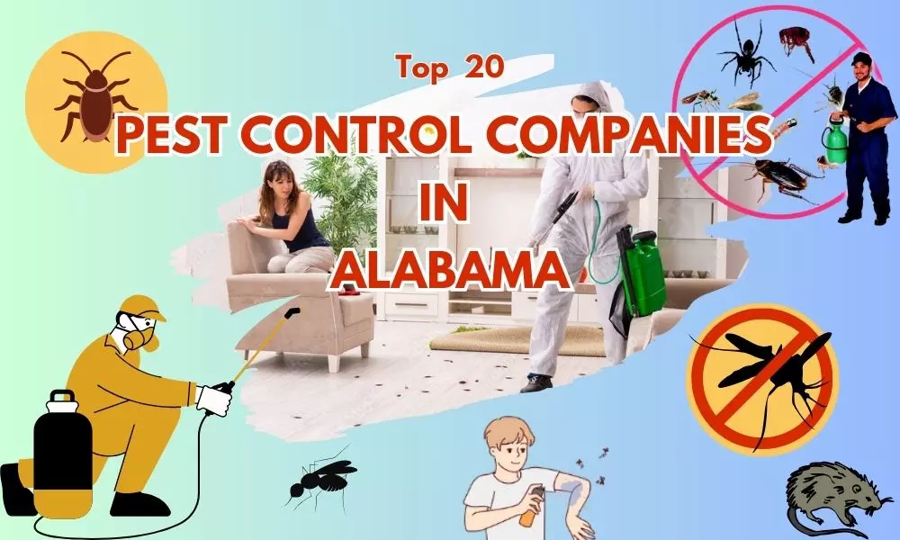 Top 20 Best Pest Control Companies in Alabama | Pest Control Alabama