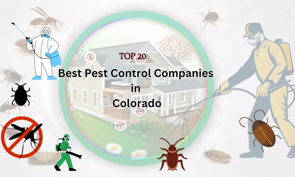Top 20 Best Pest Control Companies in Colorado | Pest Control Colorado