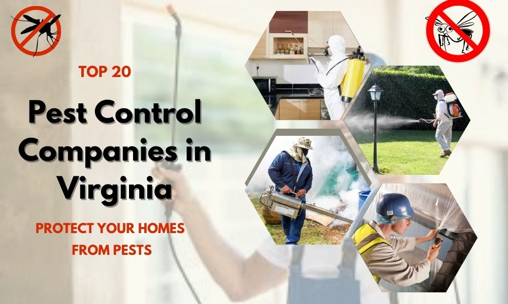 Top 20 best pest control companies in Virginia | pest control Virginia