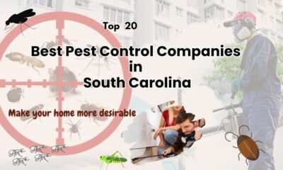 Pest Control South Carolina