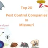 pest control Missouri
