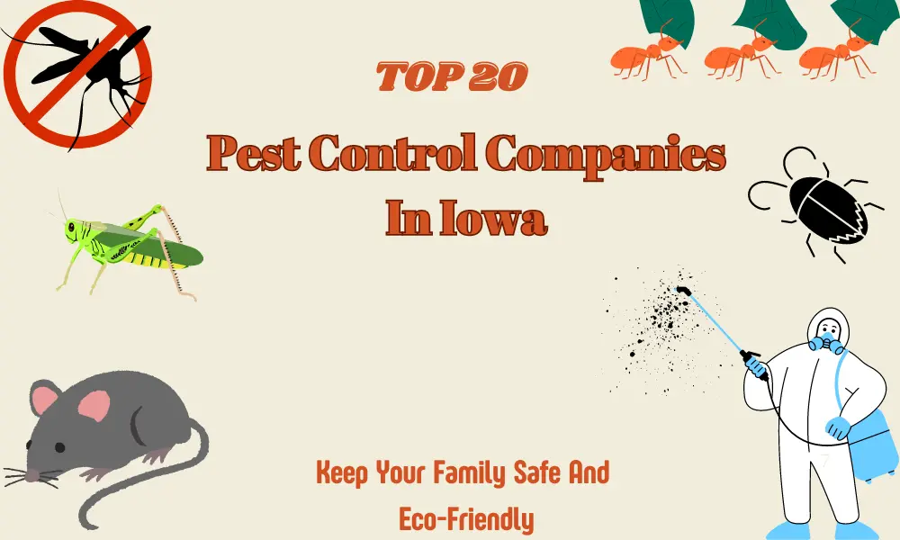 Top 20 Best Pest Control Companies In Iowa | Pest Control Iowa