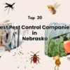 Pest Control Nebraska
