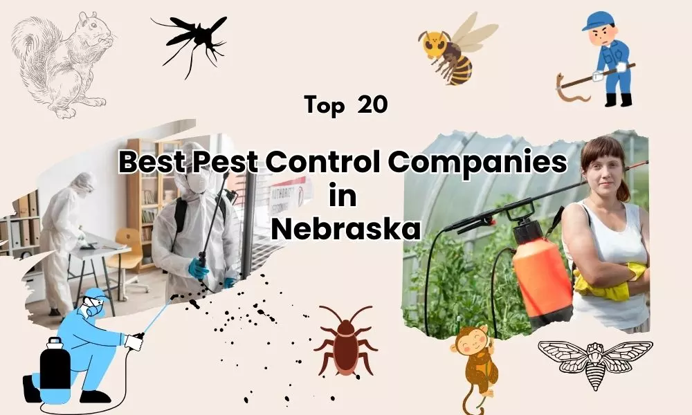 Top 20 Best Pest Control Companies in Nebraska | Pest Control Nebraska
