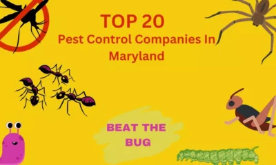 Pest Control Maryland