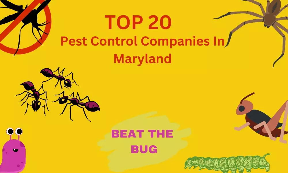 Top 20 Best Pest Control Companies In Maryland | Pest Control Maryland