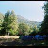Tent campsite with mountain and forest views at a California campground