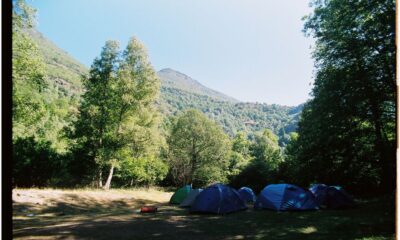 Tent campsite with mountain and forest views at a California campground